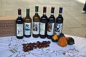VBS_6218 - 10.ma Fiera Nazionale del Tartufo e Fiera dei Santi